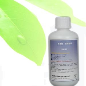 汽车专用型-甲醛异味清除