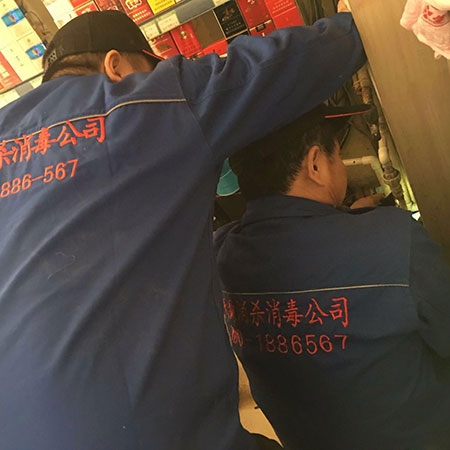专业消毒服务